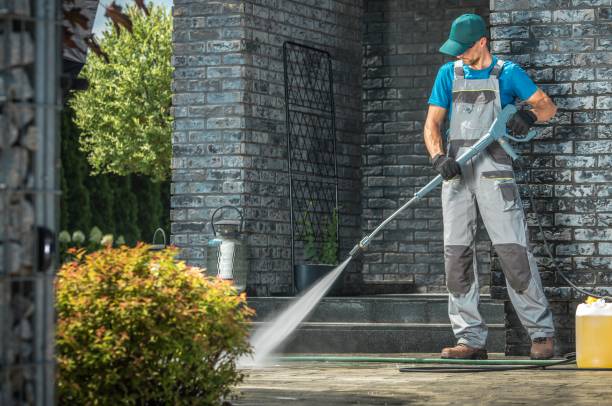 Best Gutter Cleaning and Brightening in Fairmont City, IL