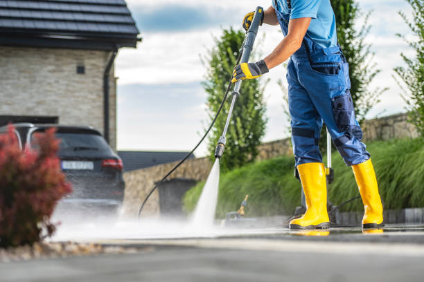 Best Driveway Cleaning and Restoration in Fairmont City, IL